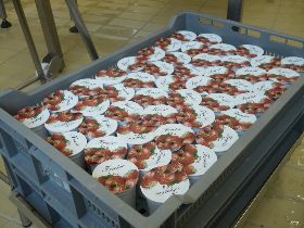 yaourts-aux-fraises