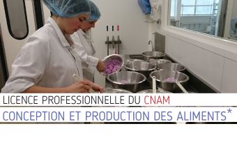 licence pro conception aliments(340)