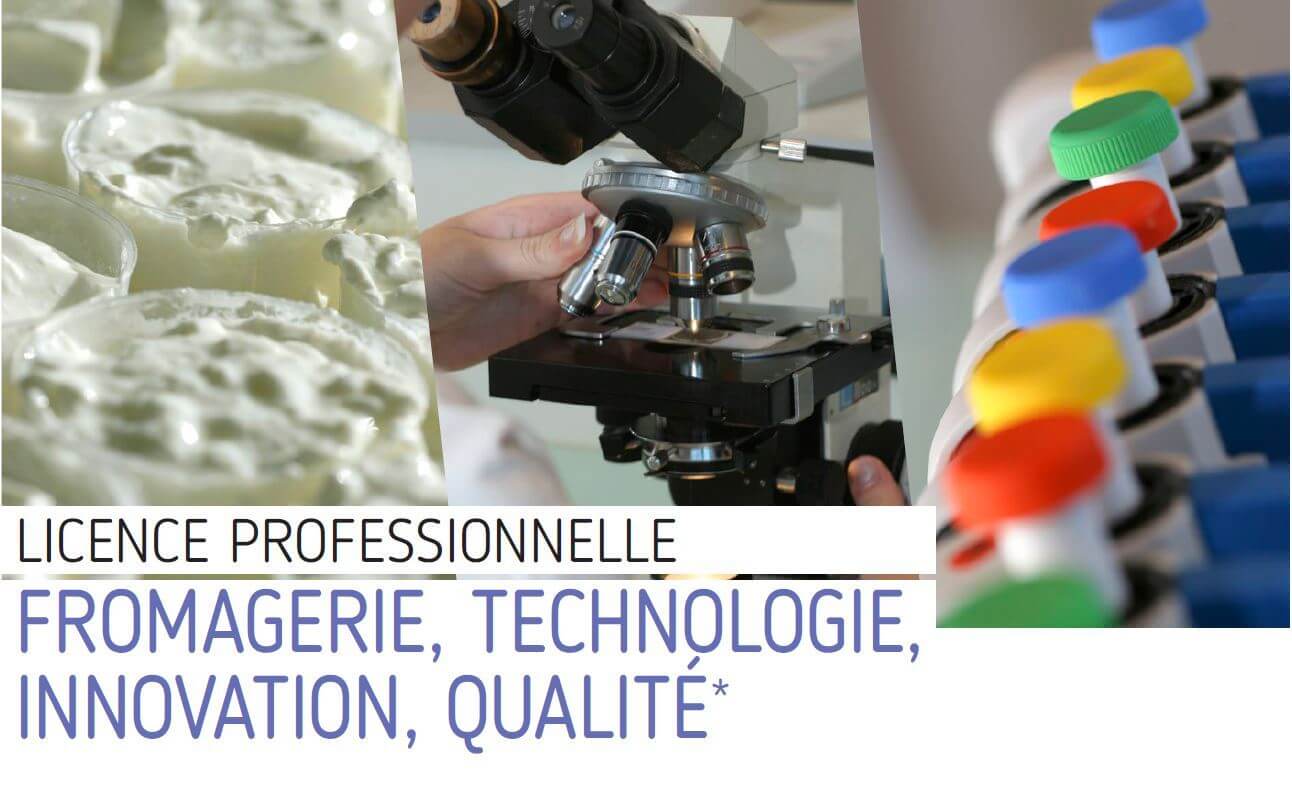licence pro fromage technologie innovation qualite