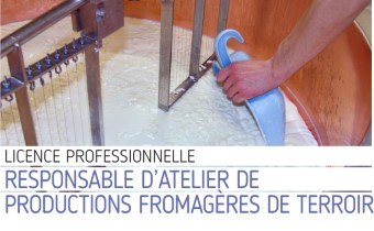 licence pro fromages comte