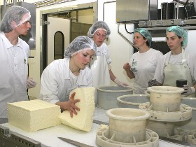 formation fromage en ecole de fromagerie, laiterie et produit laitier