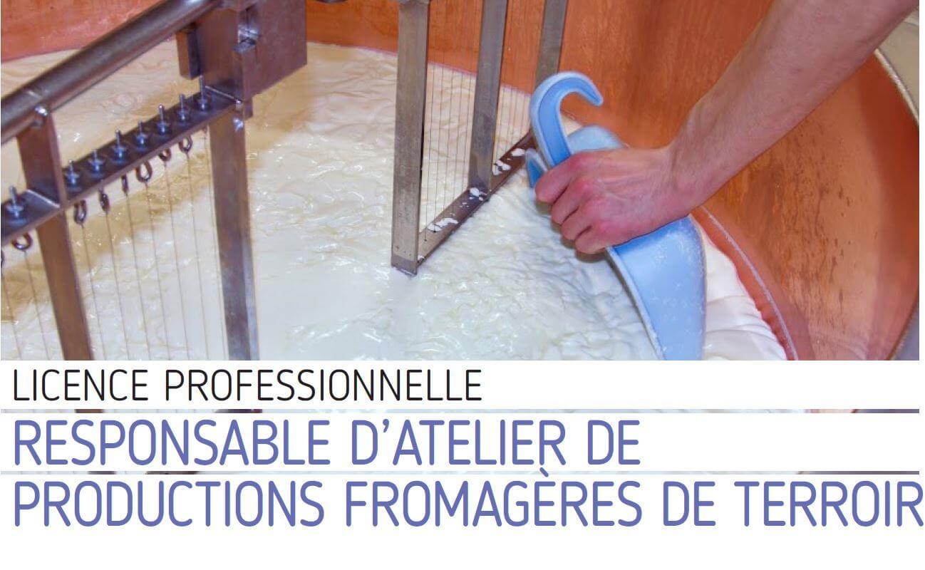 licence pro fromages terroir