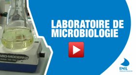 video labo microbiologie